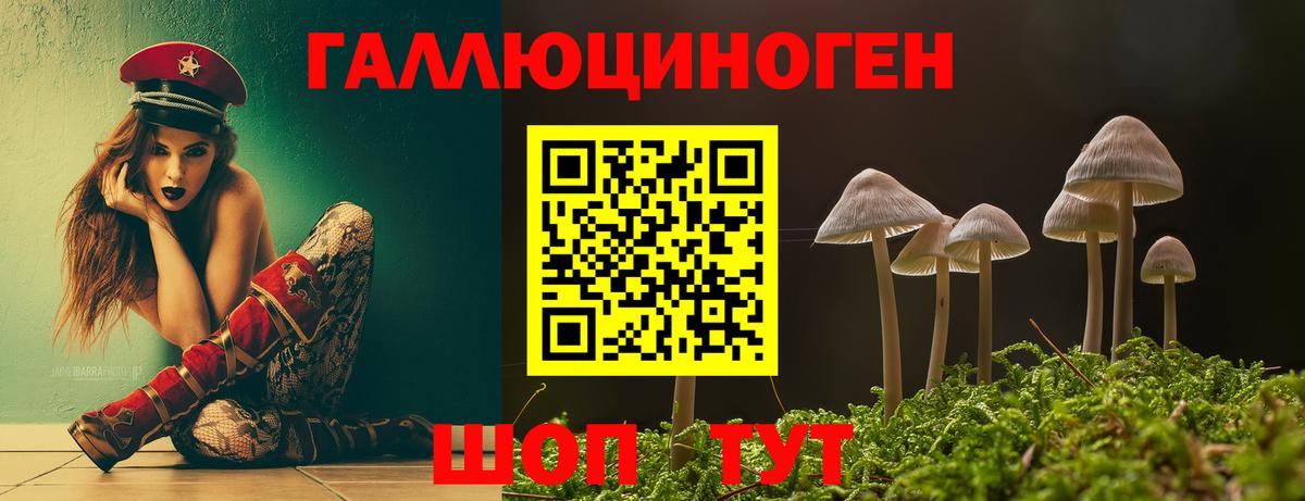 Галлюциногенные грибы Magic Shrooms Кувандык