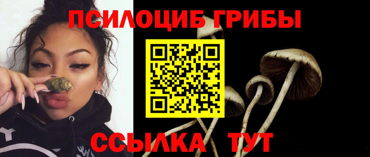 Кувандык  Галлюциногенные грибы Magic Shrooms  магазин  наркотиков  Псилоцибиновые грибы ЛСД  Вход с VPN 